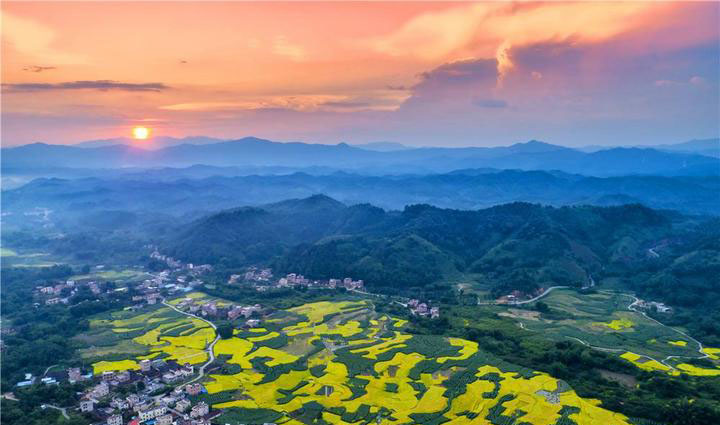 振興之花落于鄉(xiāng)鎮(zhèn)，發(fā)展之路始于厚土