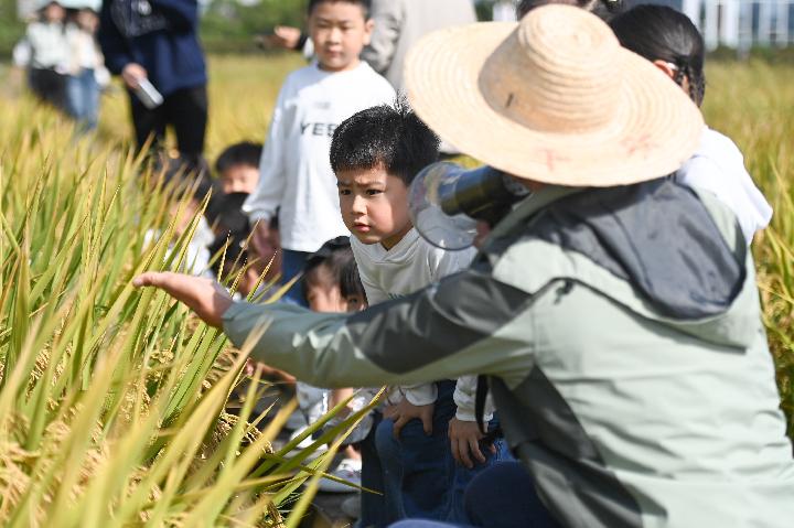 農(nóng)場里的幼兒自然課