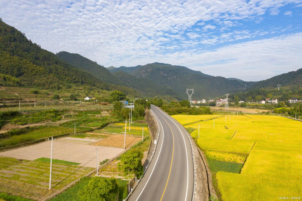 浙江建德：緊盯“非糧化”整治，守護百姓“飯碗田”