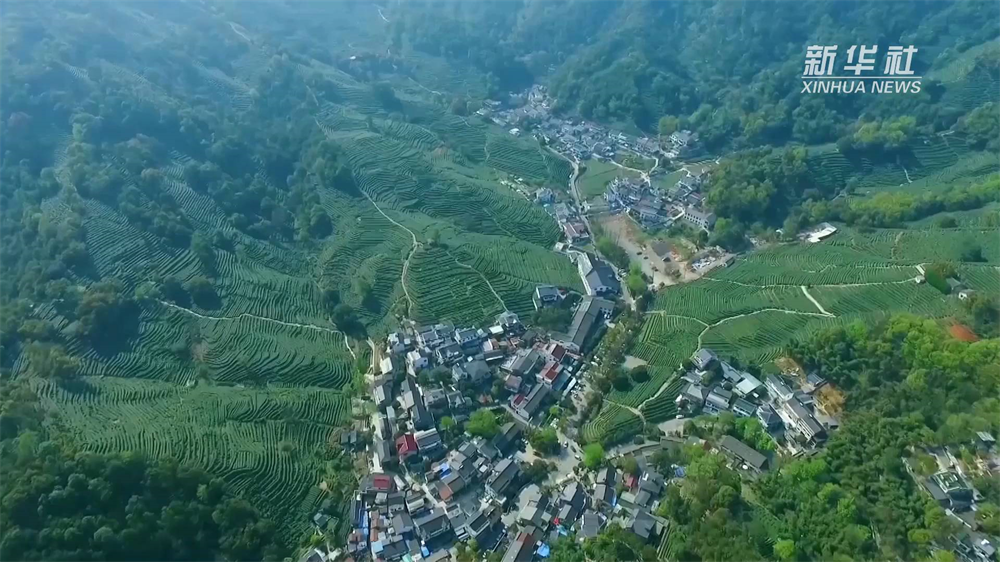 春風徐來，經濟回暖