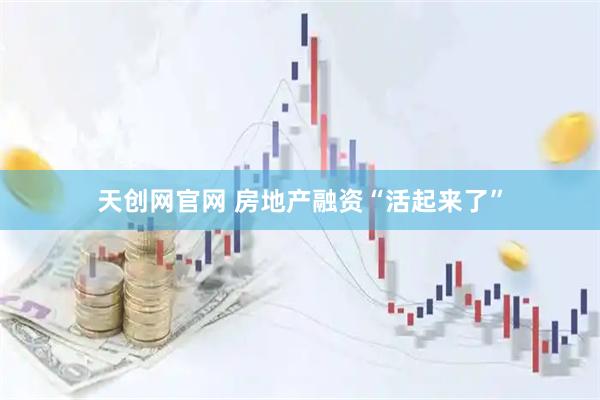 天创网官网 房地产融资“活起来了”