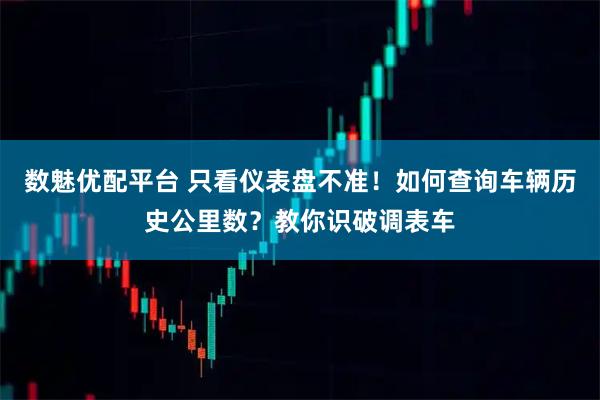 数魅优配平台 只看仪表盘不准！如何查询车辆历史公里数？教你识破调表车