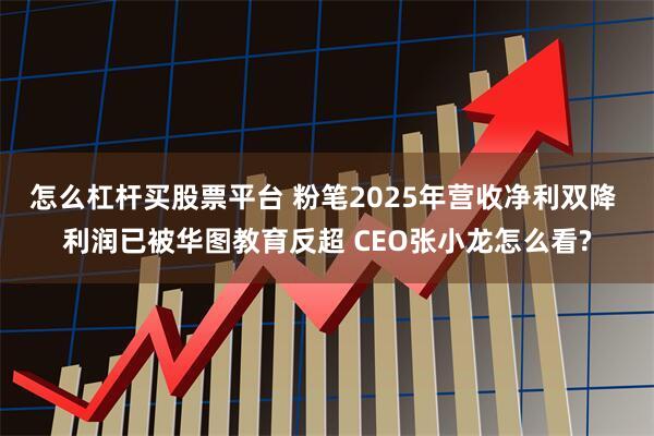 怎么杠杆买股票平台 粉笔2025年营收净利双降 利润已被华图教育反超 CEO张小龙怎么看?